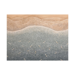 Coastal Waves aerial shoreline painting with surfers and layered ocean waves