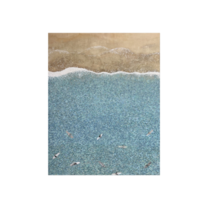 Between The Tides | Canvas or Print